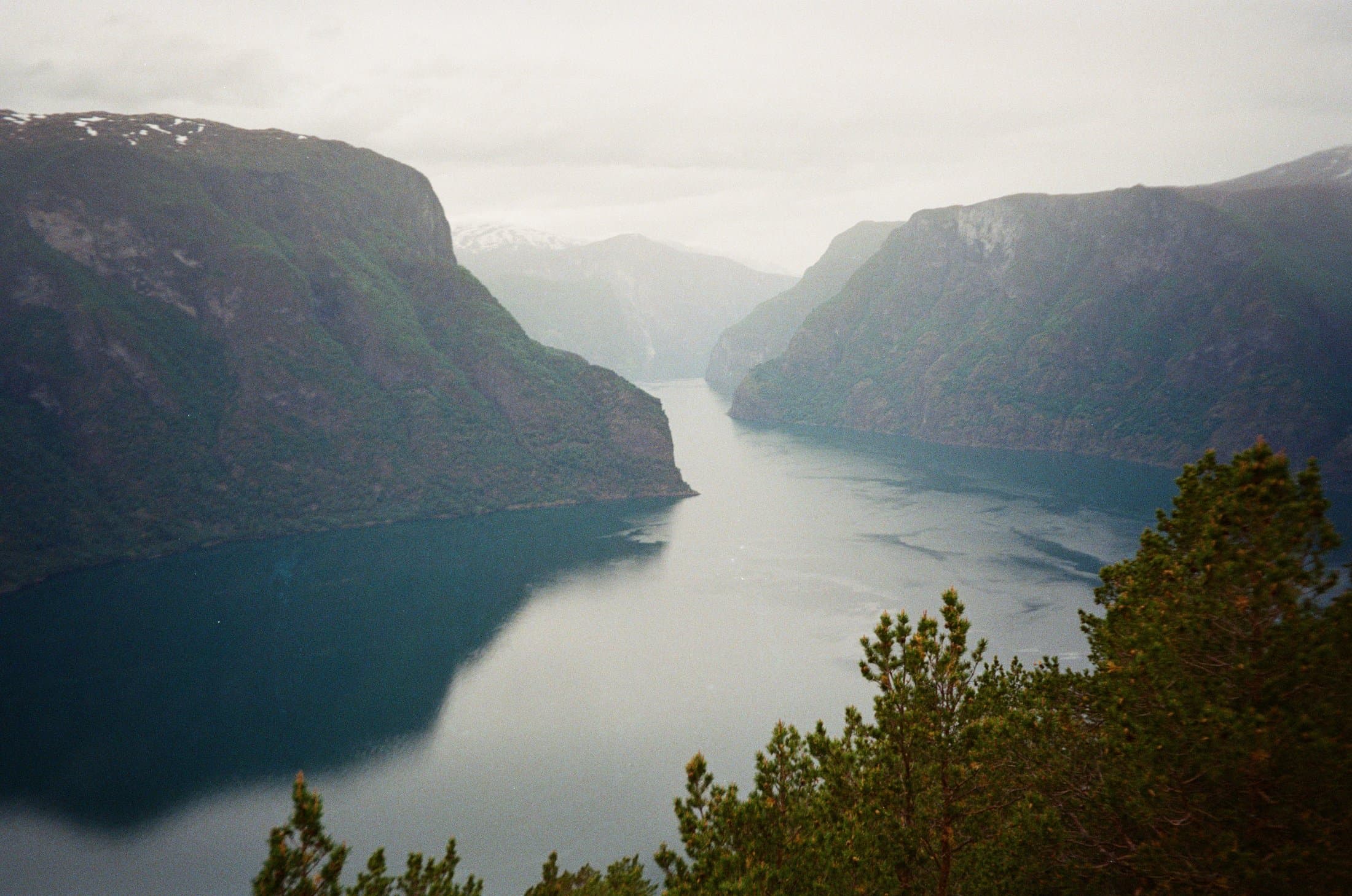 Výhľad na fjord medzi strmými zelenými stenami hôr.